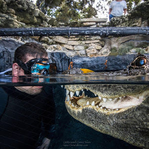 Meet your Posher, Paul